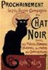 CARTA POSTER F.TO 50X70 CHAT NOIR