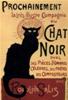 CARTA POSTER F.TO 50X70 - CHAT NOIR