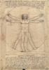 STAMPA DISEGNI 33X44 - LEONARDO UOMO VITRUVIANO