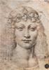 CARTOLINE DISEGNI LEONARDO DA VINCI