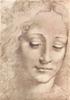 STAMPA DISEGNI 33X44 - LEONARDO TESTA DI GIOVINETTA
