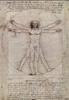 CARTA POSTER F.TO 50X70 - LEONARDO UOMO VITRUVIANO