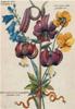 STAMPA BOTANICA 33X44 - BOUQUET DI FIORI