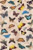 CARTA POSTER F.TO 50X70 - FARFALLE