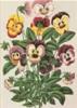 BIGLIETTO BOTANICA - PRIMULE E VIOLE
