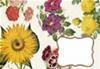 SET 4 BIGLIETTI CON BUSTA - FIORI