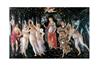 STAMPA ARTISTICA 33X44 - BOTTICELLI PRIMAVERA