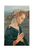 STAMPA SACRA 33X44 - FILIPPO LIPPI MADONNA - PARTICOLARE