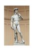 STAMPA ARTISTICA 33X44 - MICHELANGELO DAVID