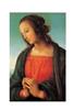 STAMPA ARTISTICA PERUGINO