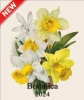 CALENDARIO 2024 13,5X17 BOTANICA