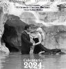 CALENDARIO DOLCE VITA 2024 31X32 