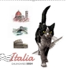 CALENDARIO 31X32 ITALIA GATTO BIANCONERO