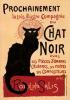 MAGNETE 5,2X7,7 - CHAT NOIR