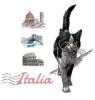 T-SHIRT GATTO ITALIA MISURA L
