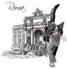 T-SHIRT GATTO ROMA TREVI MISURA L