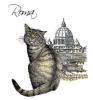 T-SHIRT GATTO ROMA SAN PIETRO MISURA L
