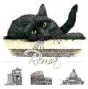 T-SHIRT GATTO ROMA MONUMENTI MISURA L