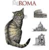 T-SHIRT GATTO ROMA  MONUMENTI  VERT. MISURA L