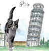 T-SHIRT GATTO PISA MISURA L