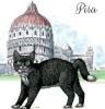 T-SHIRT GATTO PISA MISURA L