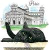 T-SHIRT GATTO PISA MISURA L