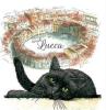T-SHIRT GATTO LUCCA MISURA L