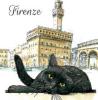 T-SHIRT GATTO FIRENZE MISURA L