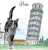 SHOPPER PISA GATTO TORRE