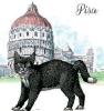 SHOPPER GATTO PISA BATTISTERO