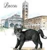 SHOPPER GATTO LUCCA NERO