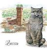 SHOPPER GATTO FIRENZE