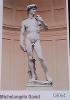 CARTA POSTER F.TO 50X70 - MICHELANGELO DAVID