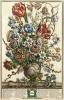 STAMPA VINTAGE 33X44 - BOTANICA FIORI DI MARZO