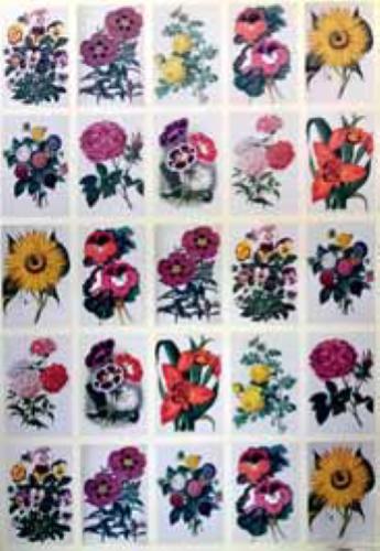 CARTA POSTER F.TO 50X70 - FIORI